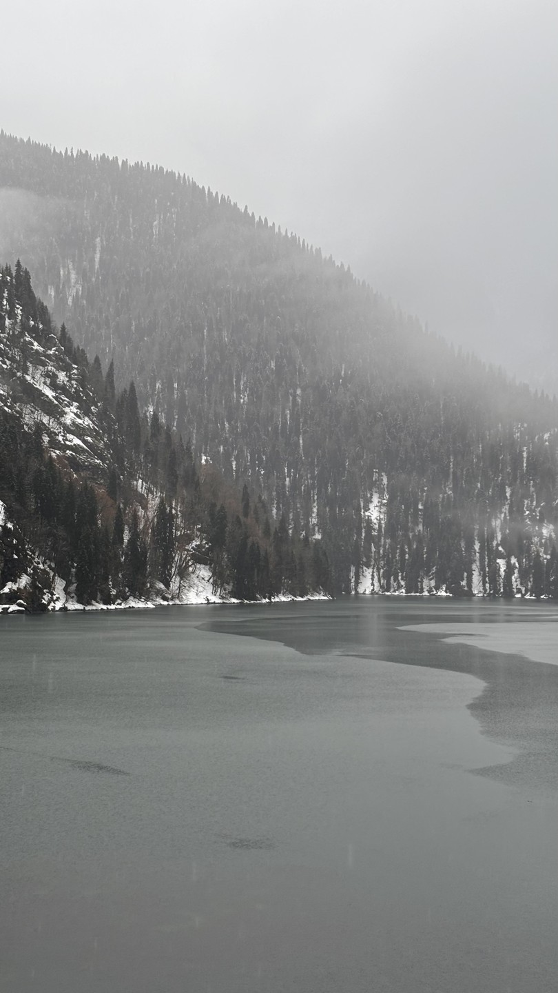 Групповая экскурсия по солнечной Абхазии (Dina)