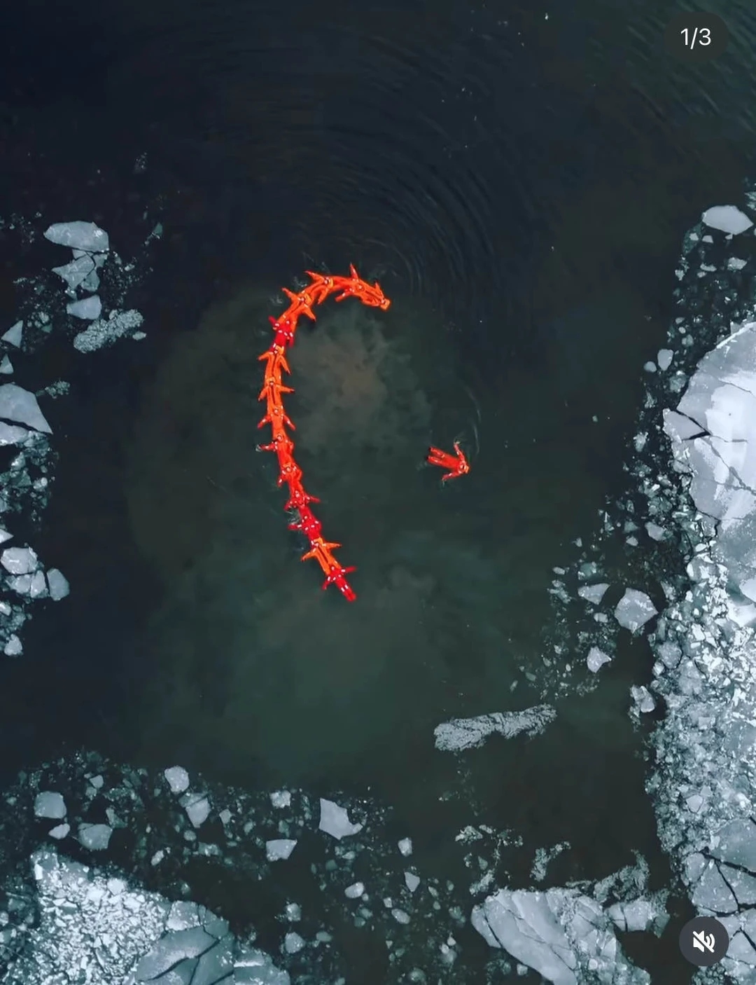 Спасибо огромное за прекрасно проведенные дни на Алтае! Несмотря на большую группу (70чел, выезжали на корпоратив)