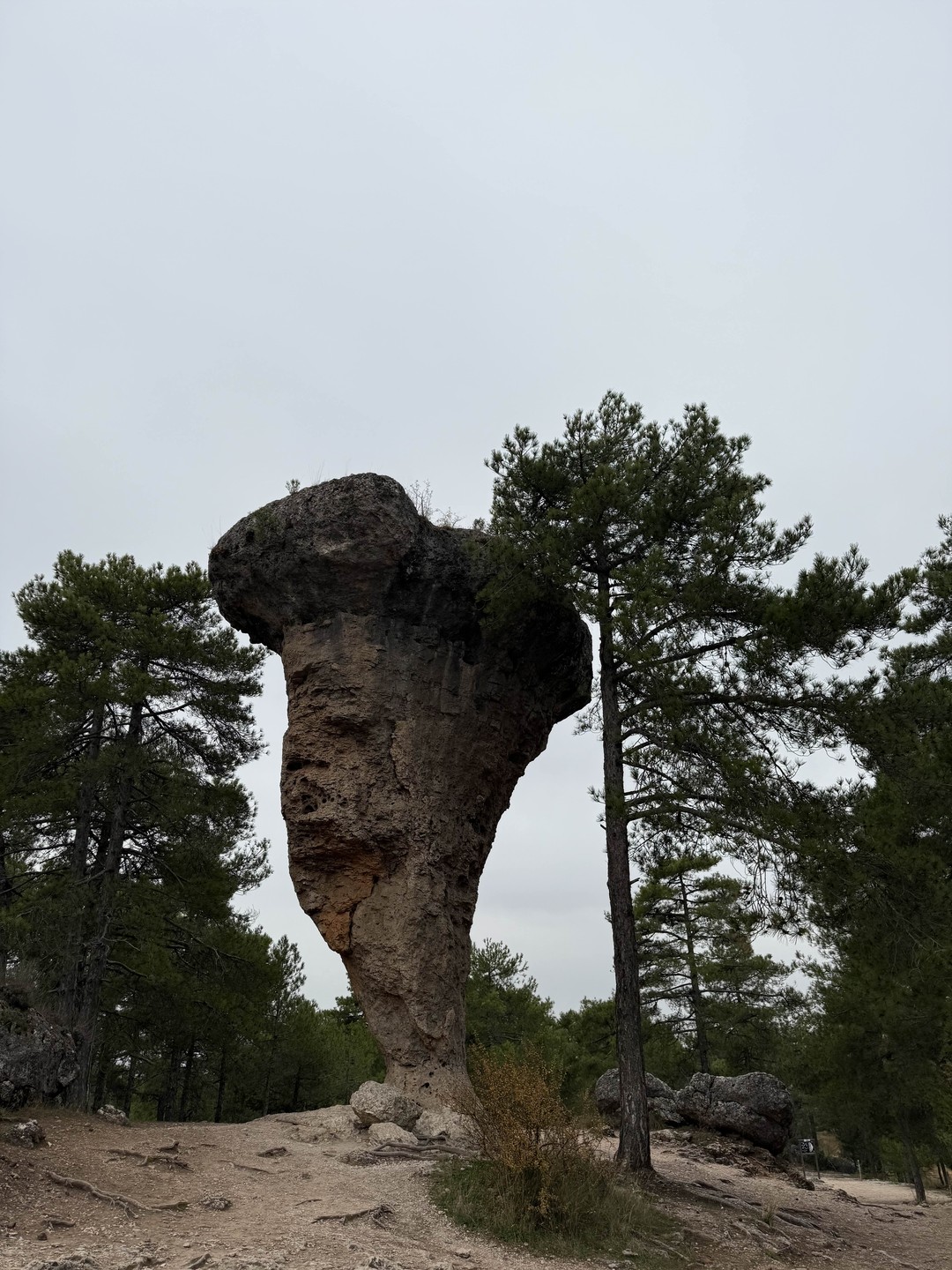 Красота невероятная!