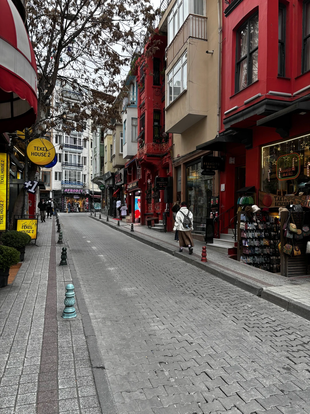 Гастрономическое путешествие: изюминки турецкой кухни (Малинина)