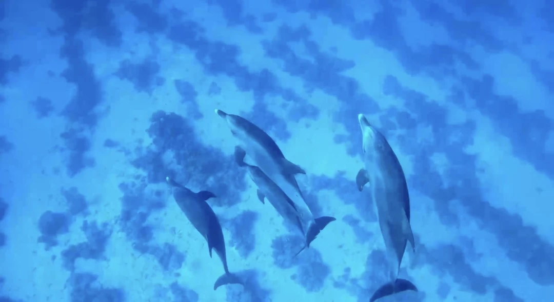 Это просто потрясающая экскурсия! Словами невозможно описать весь кайф который мы почувствовали!!! Мы не просто увидели