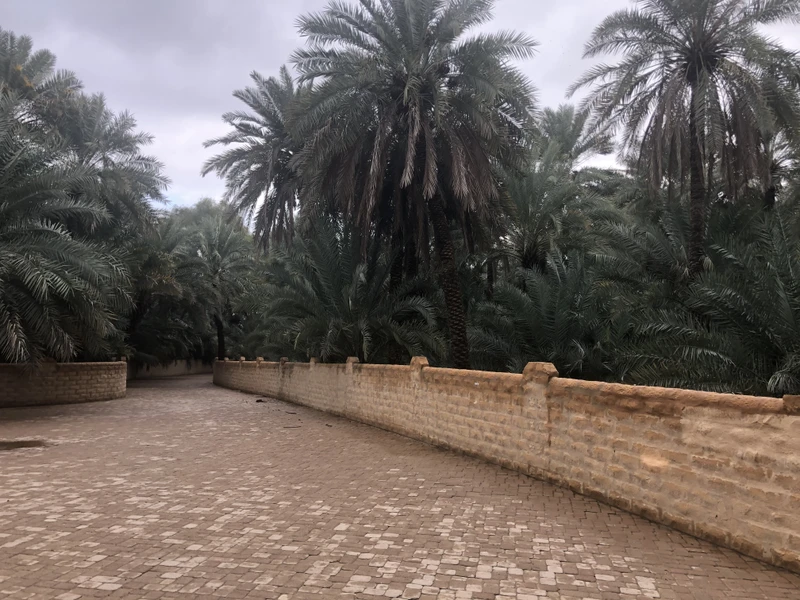 Из Рас-эль-Хаймы - в город-оазис Аль-Айн