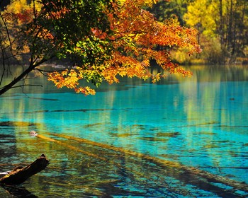 Исследуем долину Цзючжайгоу