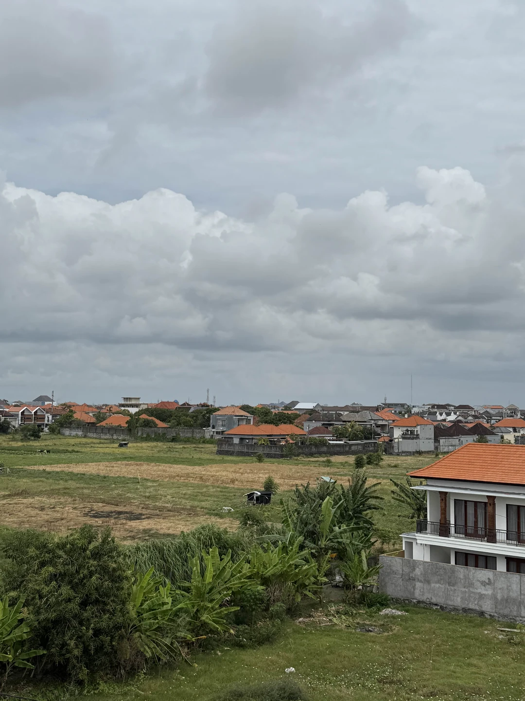 Очень понравилась экскурсия / мастер-класс. Нас встретили очень радушно, атмосфера была максимально комфортная. Ари объясняла все