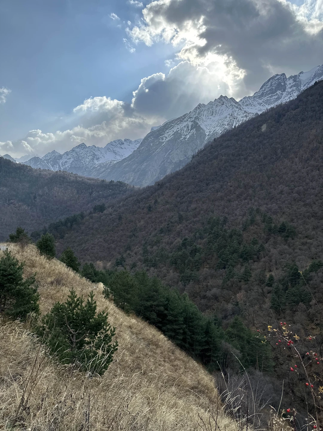 У нас получилась очень душевная прогулка! Если вы цените хорошую беседу, вкусную еду и любите пешие