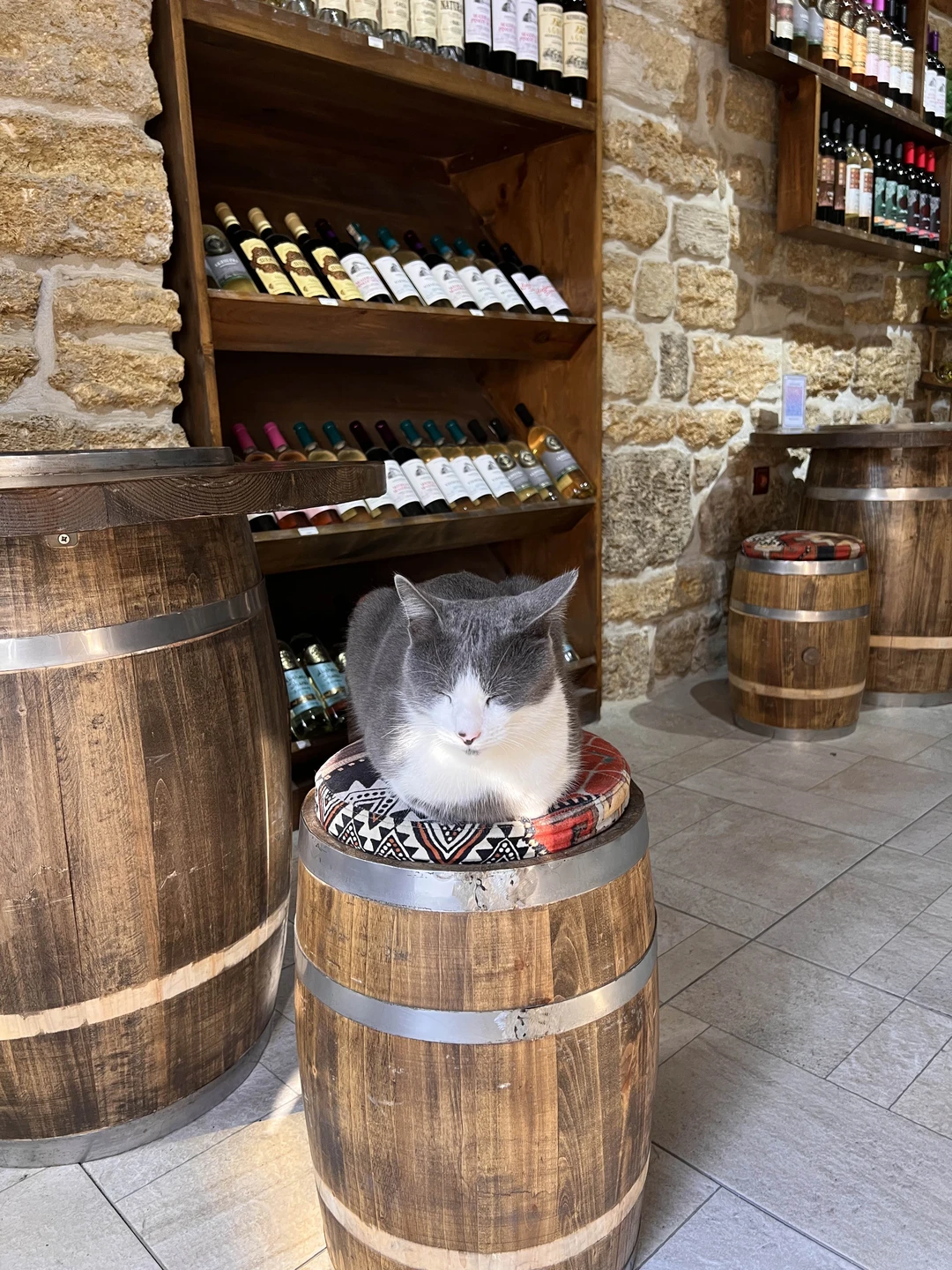 Спасибо большое гиду Гейдару и его супруге за экскурсию по старому городу! В небольшой группе мы