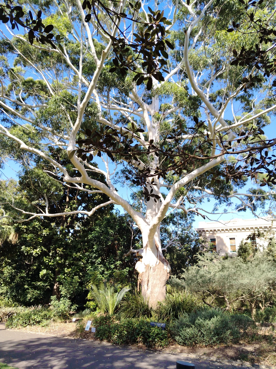 Это была замечательная обзорная экскурсия! Нас встретила экскурсовод Анна, очень доброжелательная девушка. Мы прошлись по знаковым