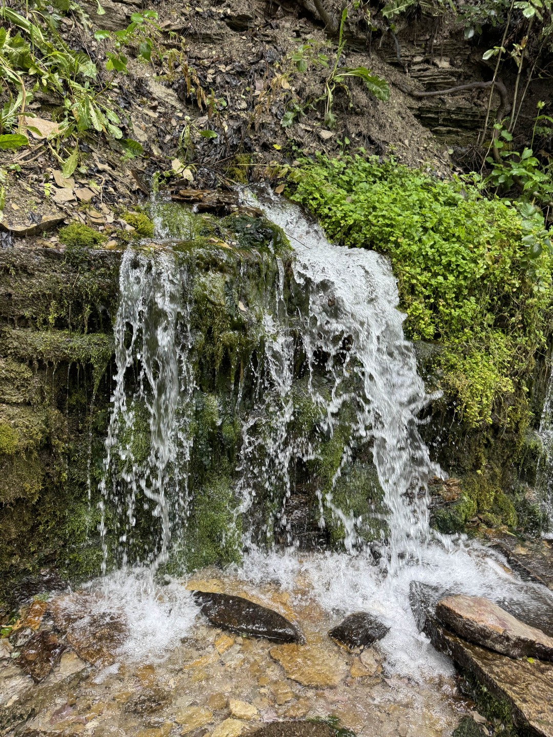 Псков, Изборск и Печоры: групповая авто-пешеходная экскурсия (Инна)