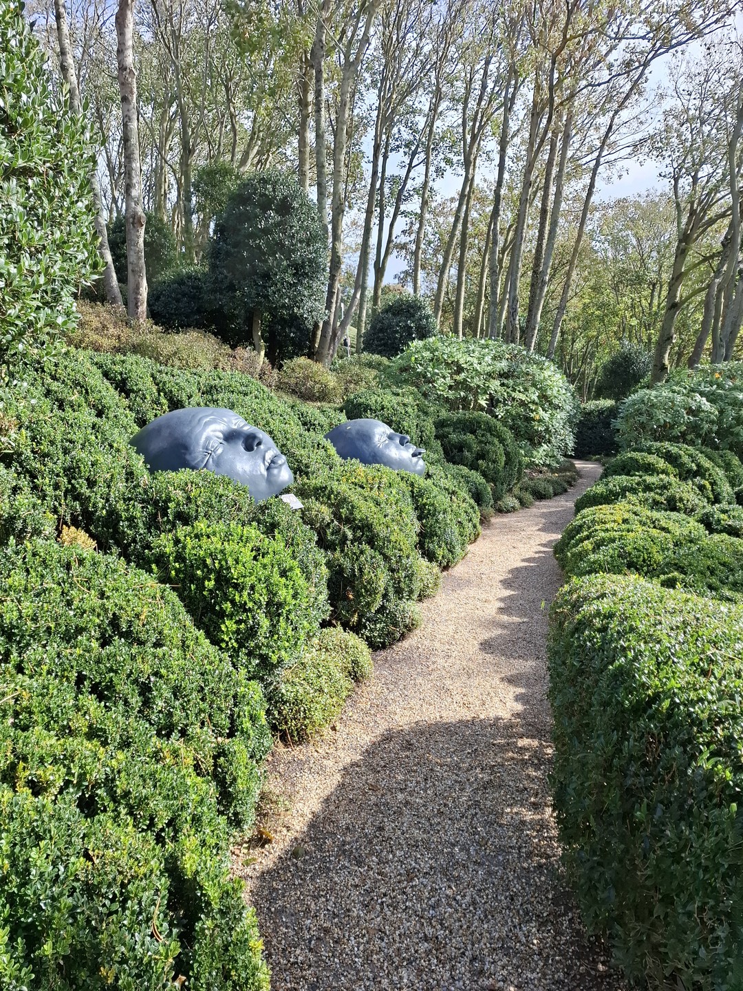Спасибо Владимиру за поездку!