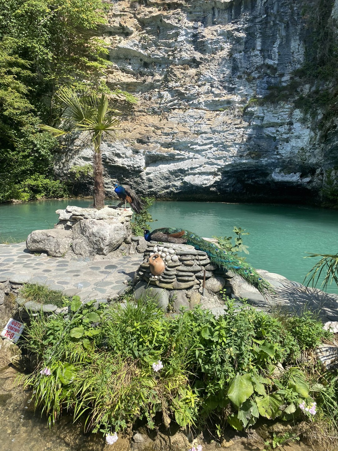 Наша поездка на озеро Рица прошла на одном дыхании. По дороге наш гид Руслан показал нам