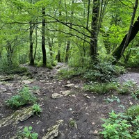 Фото отзыва 1: экскурсия "Завтрак в горах: поход на рассвете к Орлиным скалам и Агурскому ущелью"