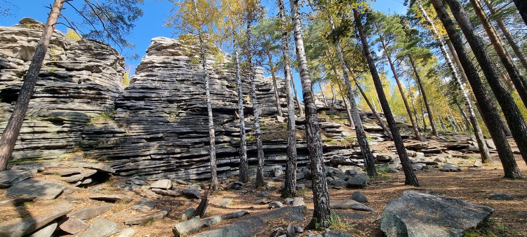 Великолепная экскурсия, Андрей отличный водитель и прекрасный собеседник. Очень хорошо и познавательно рассказывает об истории местности