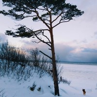 Фото отзыва 5: экскурсия "Северодвинск и Белое море"