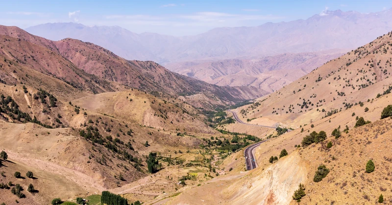 На автобусе