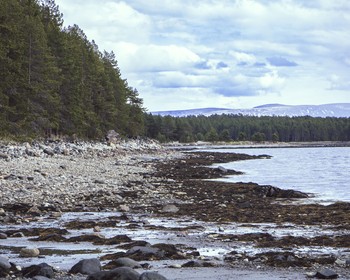 Кандалакша и Белое море