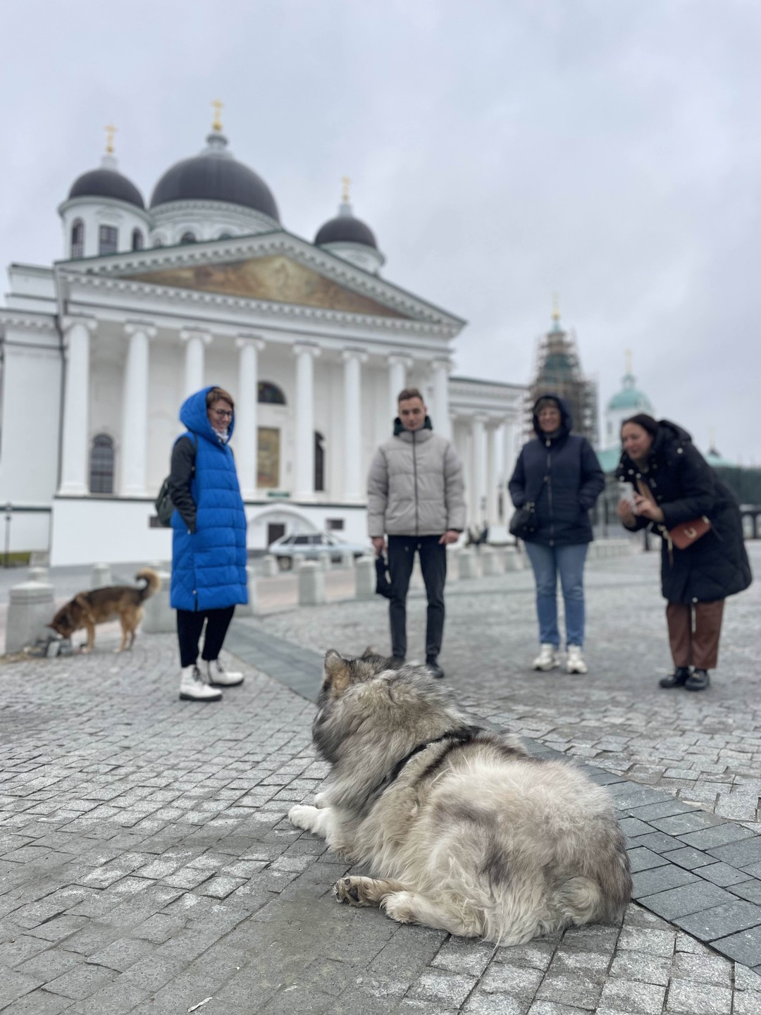 Интересный Арзамас и его старинные профессии (Ирина)