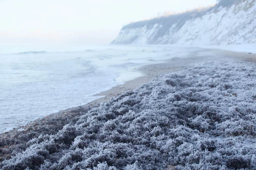 Нус сделал выходные!!!