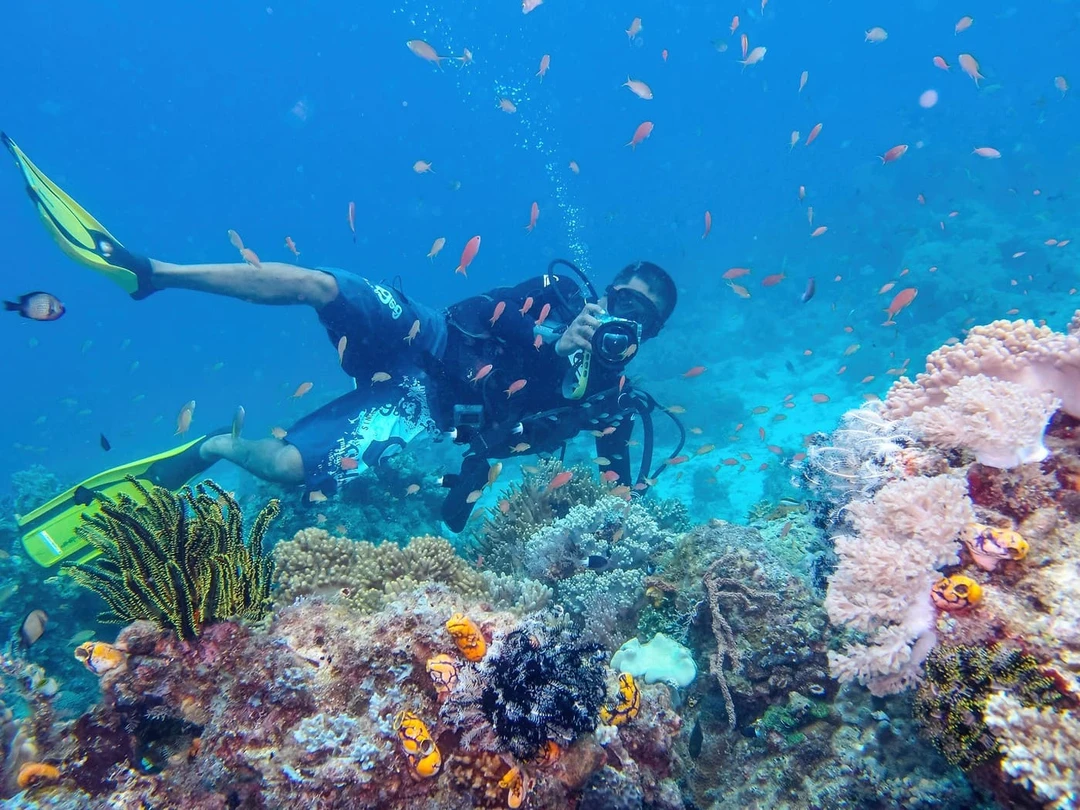 Когда ехать в Малайзию