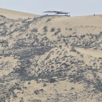 Фото отзыва 2: экскурсия "Увлекательное знакомство с Дагестаном: Сулакский каньон и бархан Сарыкум"