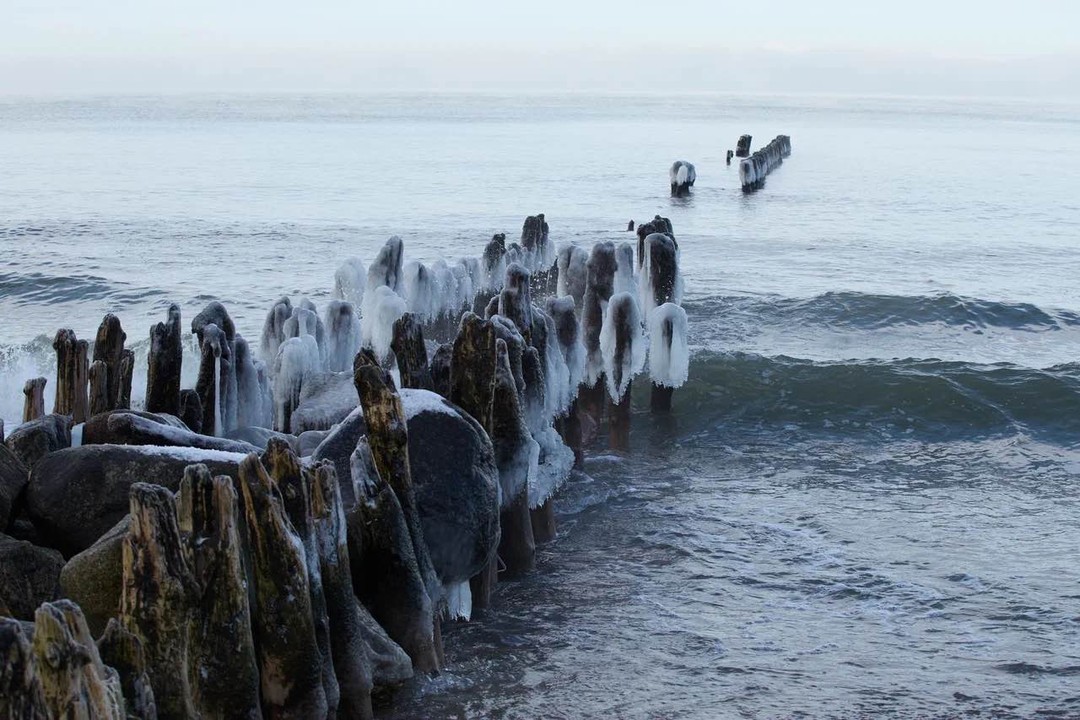 Нус сделал выходные!!!