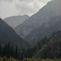 reviews img