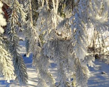 Ильгуменсикй порог, скала Белый Бом, Алтайский марс и Гейзерное озеро