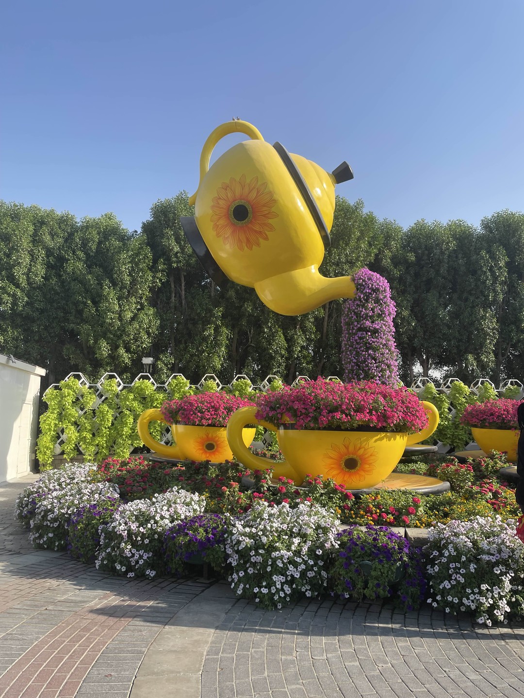 Прекрасный гид Азиз!!! Нам крупно повезло! Обширные знания страны,обычаи, религии народов,законы!!!