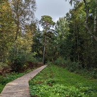 Фото туриста Екатерина 3 - Велопрогулка по Куршской косе с историком