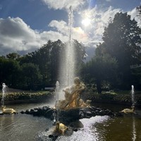 reviews img