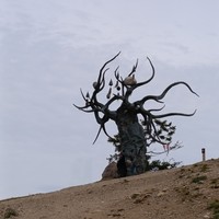 reviews img