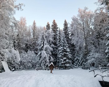 Горный парк «Рускеала», водопады Ахинкоски, гора Паасо и отъезд