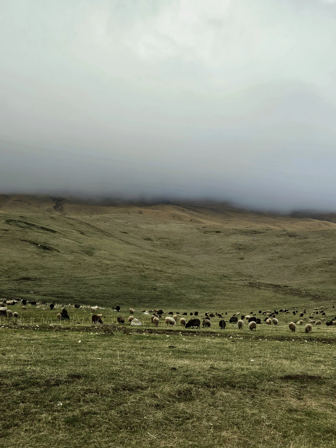 Путешествие очень понравилось)