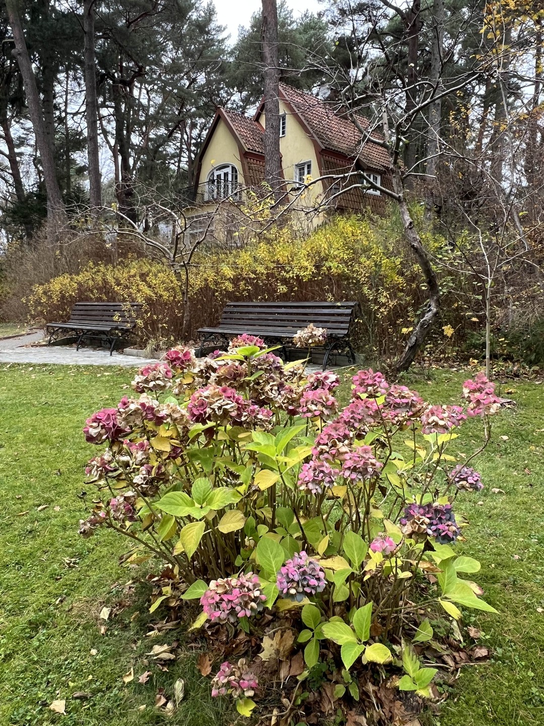 Благодарим Марину за чудесный день! Получили невероятные эмоции! Марина тактичный и при этом общительный человек, интересный