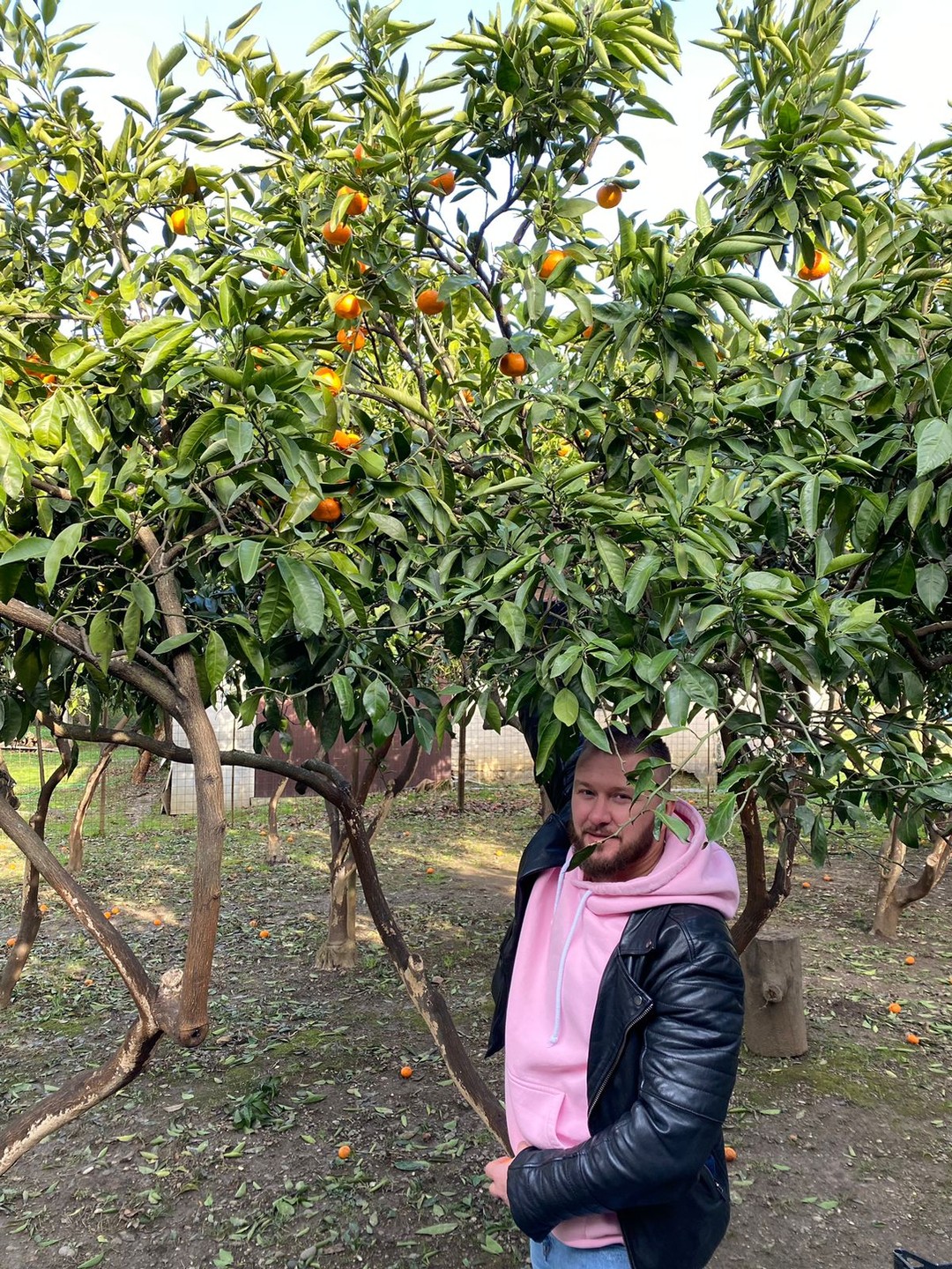 Взяли индивидуальную экскурсию, за день до экскурсии с нами связался наш гид Дамей, с ним обговорили