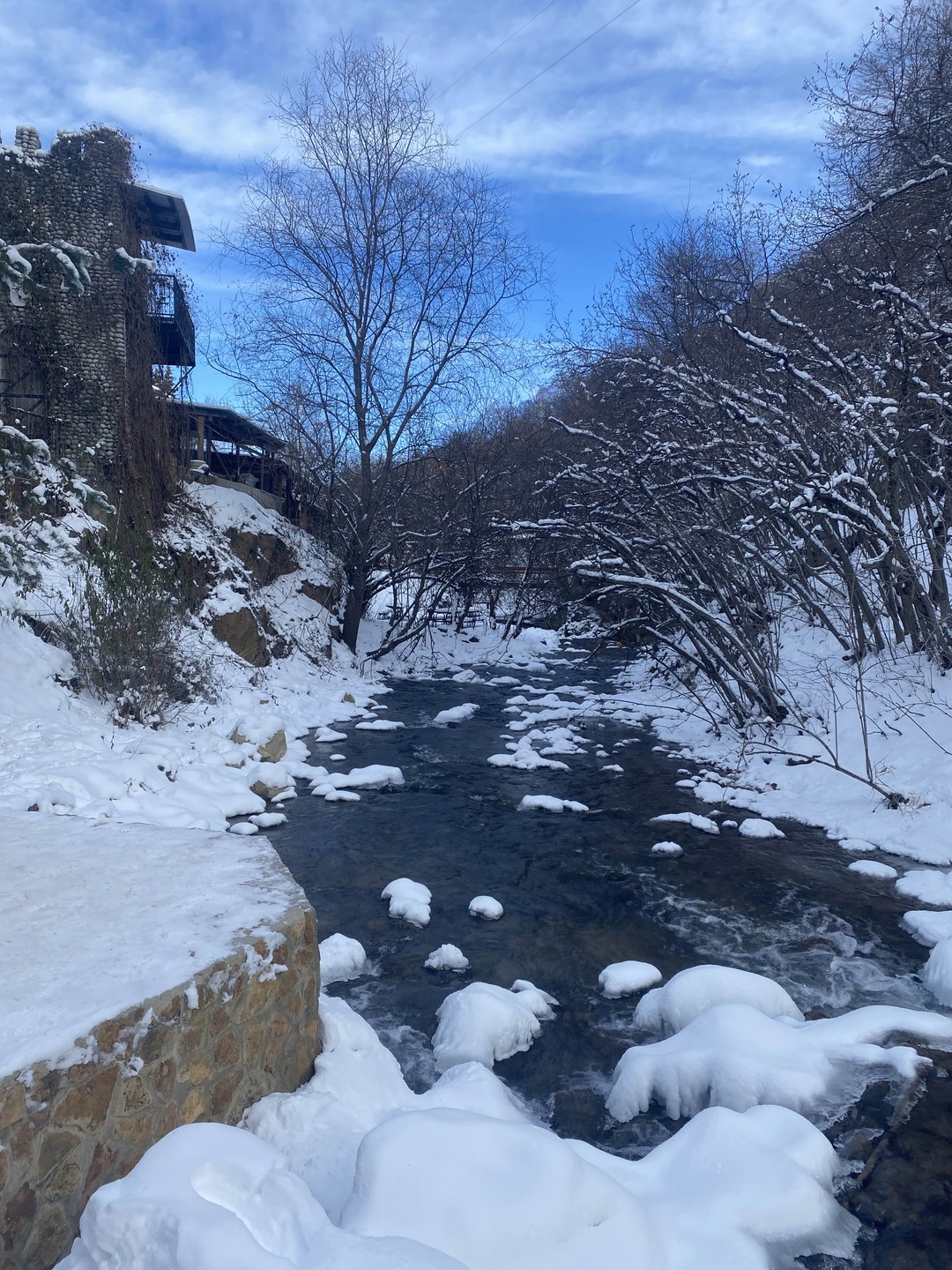 Альпака-парк и Медовые водопады: уютная поездка на полдня (Олеся)