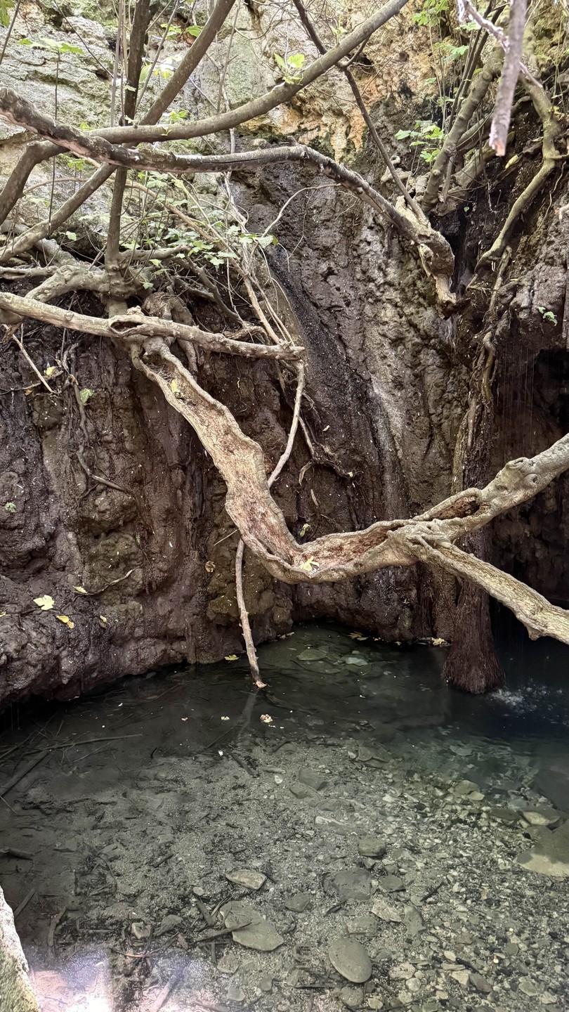 Точно рекомендую Ирину, невероятный гид!