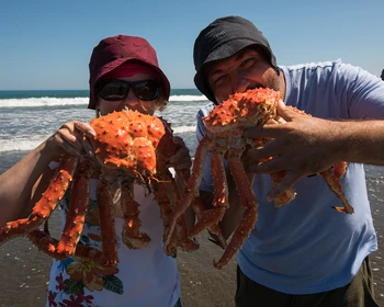 Добро пожаловать на Камчатку! Сбор группы, приветственный фуршет