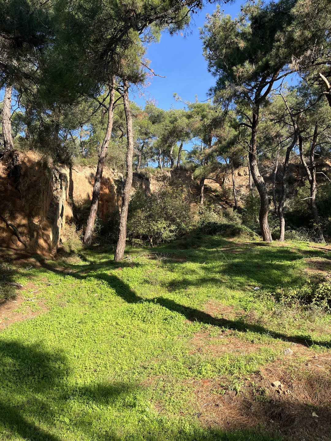 Спасибо, все отлично! Спасибо Кямрану за экскурсию!