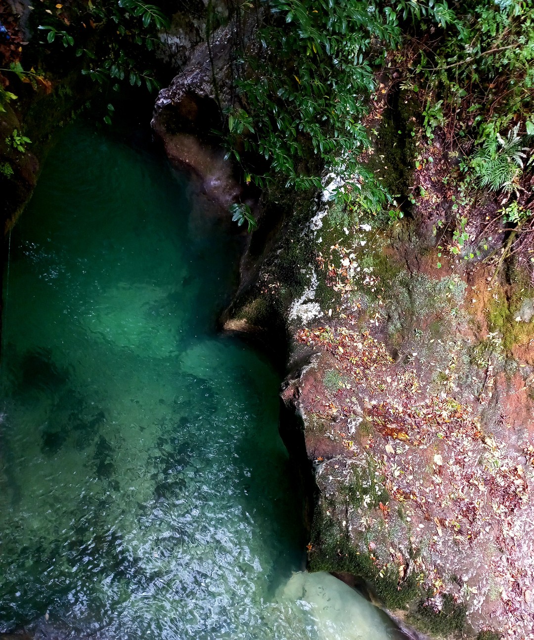 Очень понравилась поездка в Абхазию в термы для души и тела) Впечатлил храм 6 века внутри