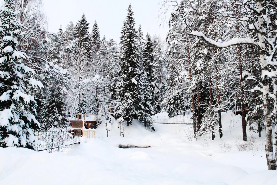 Путешествие из Петербурга в Рускеалу на Ласточке и ретропоезде (лайт) (Алиса)