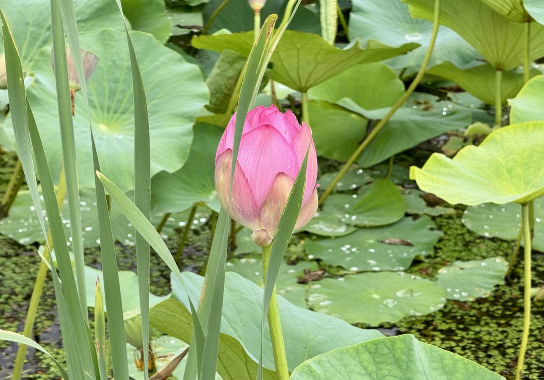 Благодарим гида Алену за превосходную экскурсию!