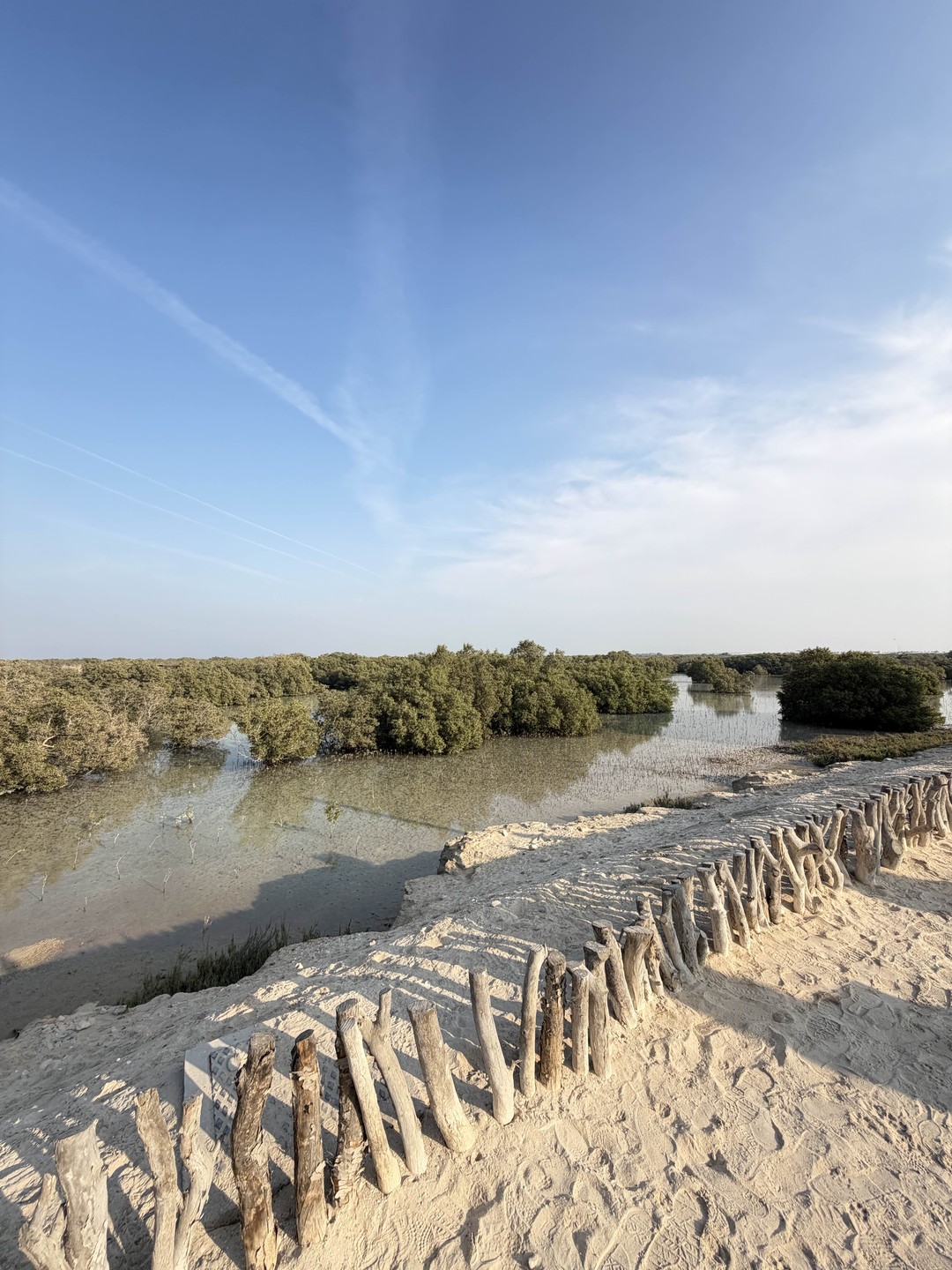 Нам понравилось, как мы провели день с Фаридом, в Абу-Даби были в первый раз, с учетом