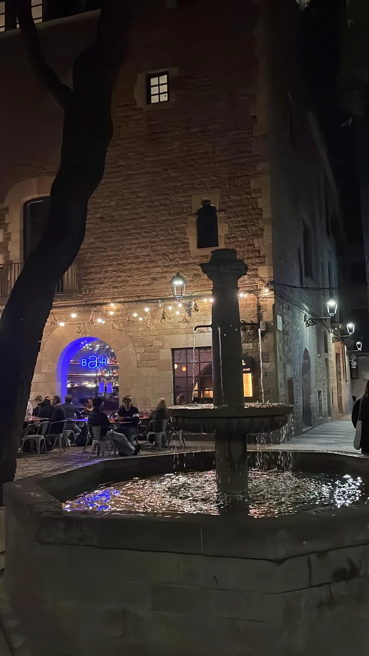 В Барселоне много гидов и экскурсионных маршрутов предлагающих путешественникам много чего, поэтому, как же мы были