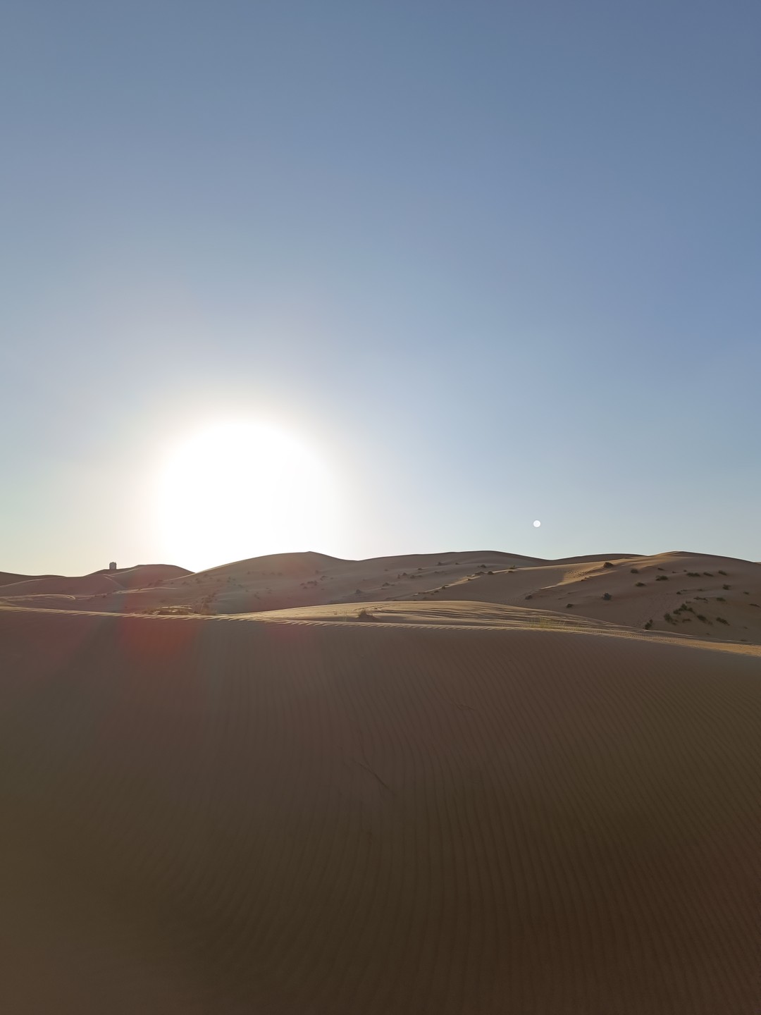 Пустыня Вахиба и оазис Вади Бани Халид (Татьяна)