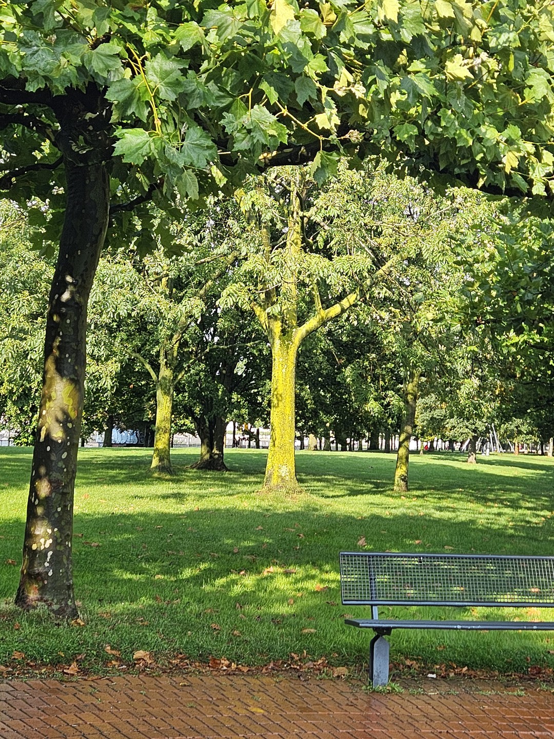Нам понравилась экскурсия и прогулка по городу 🤗 спасибо нашему гидуТатьяне ❤️ было занимательно, легко и весело!