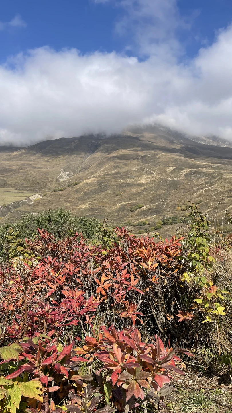 Главные красоты Осетии - за один день в мини-группе (из Кисловодска) (Людмила)