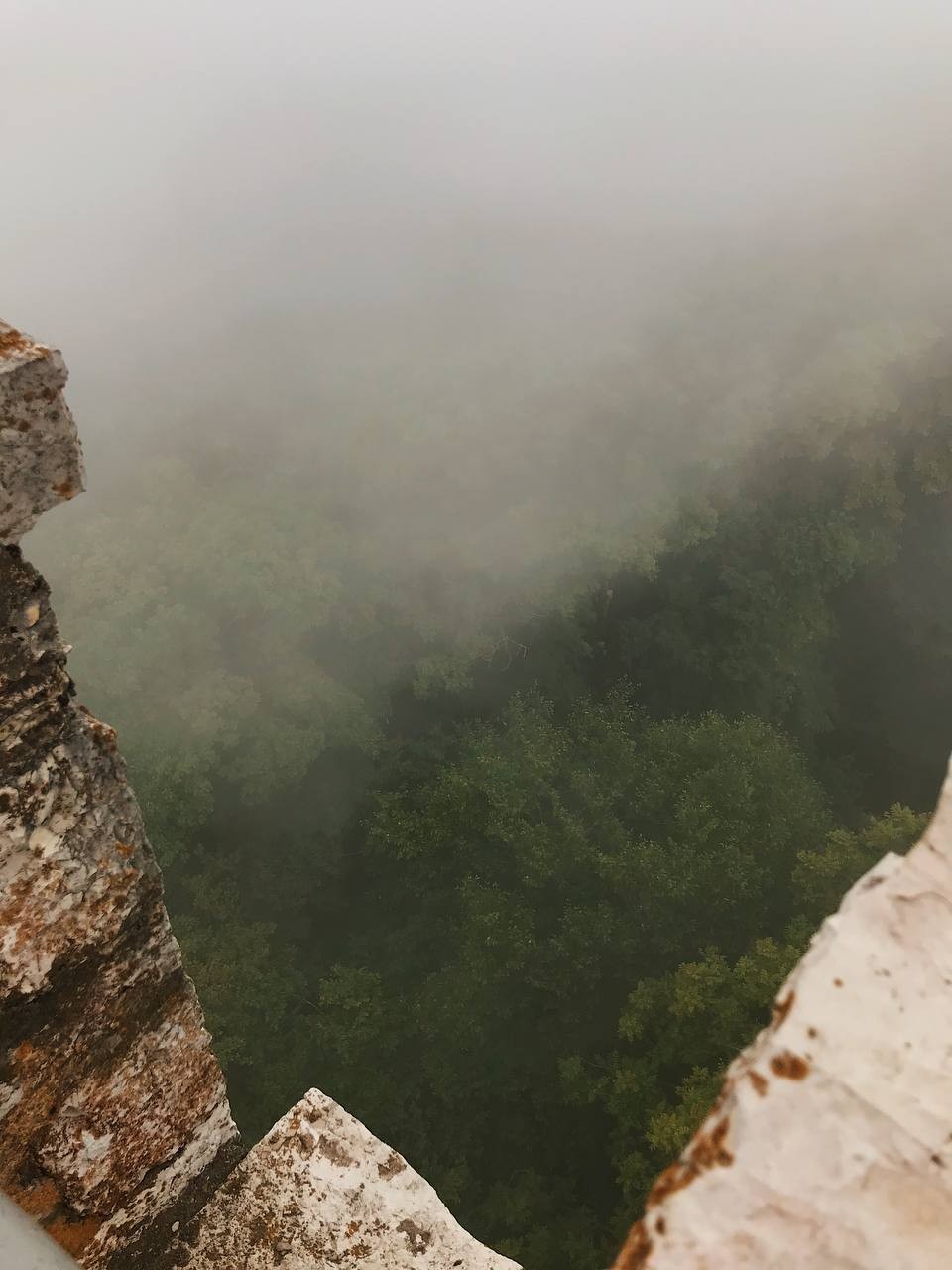 16.07.2022 была на экскурсии в сопровождении Романа