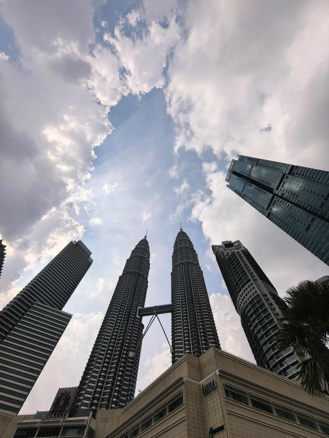 Отличая экскурсия. Прилетели из Паттайи на пару дней в КЛ. В Малайзии первый раз, поэтому посчитали