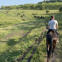 Фото отзыва 5: экскурсия "Конная прогулка недалеко от Кисловодска в мини-группе"