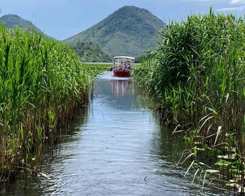 Скадарское озеро, орнитологическая водная прогулка, переезд в Дурмитор